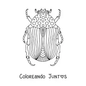 Imagen para colorear de un escarabajo grande