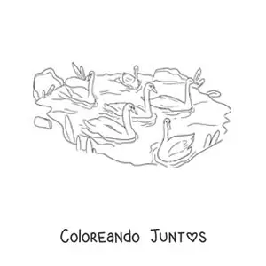Imagen para colorear de el Patito Feo nadando con los cisnes