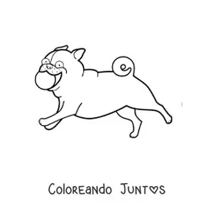 Imagen para colorear de un pug corriendo mordiendo una pelota