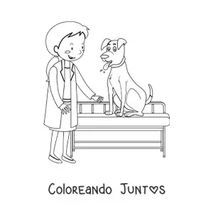 Imagen para colorear de una veterinaria con un perro en una camilla