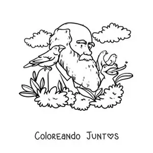 Imagen para colorear de Charles Darwin animado estudiando a las aves