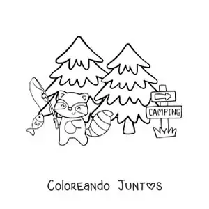 Imagen para colorear de un mapache animado pescando en un campamento en el bosque