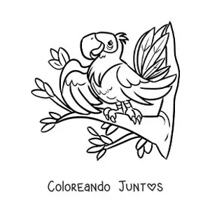 Imagen para colorear de una guacamaya del zoológico animada en un árbol
