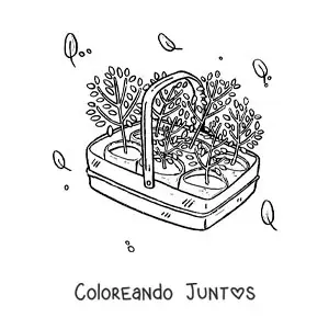 Imagen para colorear de plantas listas para trasplantar en una canasta