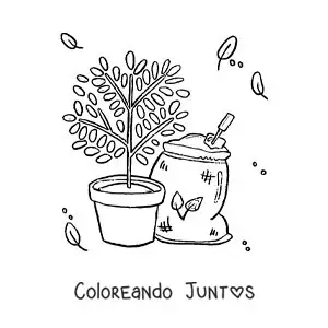 Imagen para colorear de una planta en su maceta junto a un saco de tierra