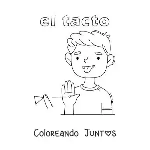 Imagen para colorear de el sentido del tacto en el cuerpo humano para niños
