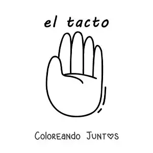 Imagen para colorear de ficha educativa del sentido del tacto