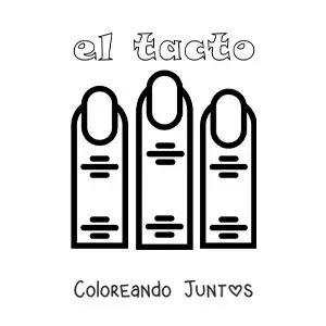 Imagen para colorear de los dedos como parte del sentido del tacto