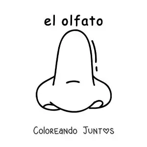 Imagen para colorear de ficha educativa del sentido del olfato