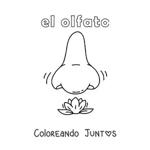 Imagen para colorear de una nariz oliendo una flor