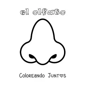 Imagen para colorear de la nariz y el sentido del olfato para niños