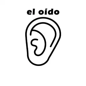 Imagen para colorear de ficha educativa del sentido del oído
