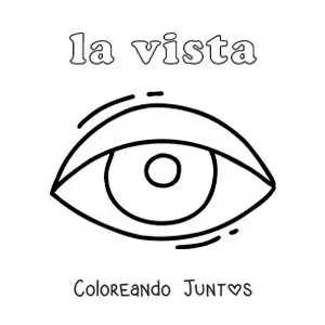 Imagen para colorear de el ojo y el sentido de la vista