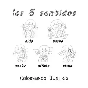 Imagen para colorear de una niña mostrando los 5 sentidos