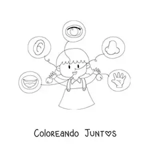 Imagen para colorear de los 5 sentidos señalados en el cuerpo humano