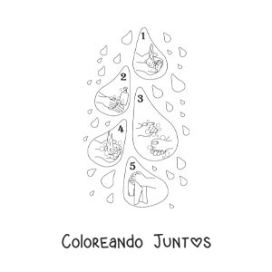 Imagen para colorear de gotas de agua enumerando los pasos para el lavado de manos