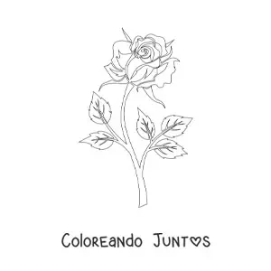 Imagen para colorear de una rosa con tallo