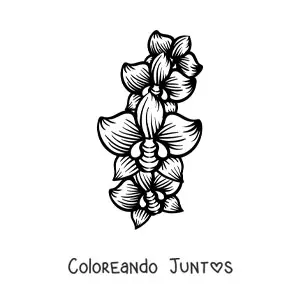 Imagen para colorear de tres orquídeas grandes
