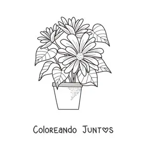 Imagen para colorear de una maceta con margaritas