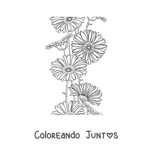 Imagen para colorear de varias margaritas