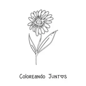 Imagen para colorear de una margarita con hojas