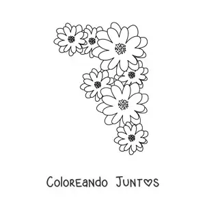 Imagen para colorear de varias margaritas pequeñas