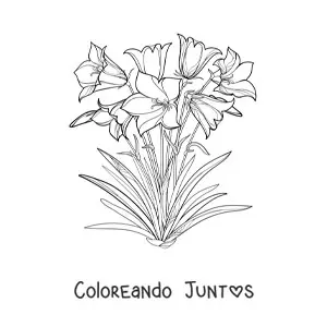 Imagen para colorear de varios lirios en el campo