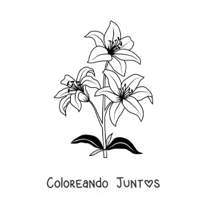 Imagen para colorear de tres lirios