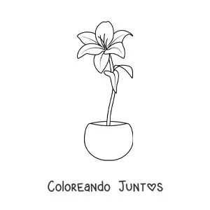 Imagen para colorear de un lirio en una maceta