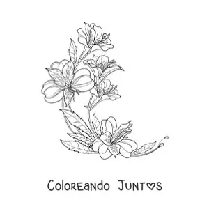 Imagen para colorear de cinco hermosos lirios realistas con hojas