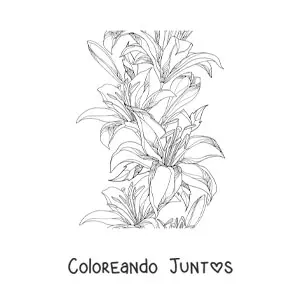 Imagen para colorear de varios lirios salvajes realistas