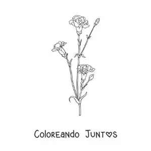 Imagen para colorear de tres claveles pequeños