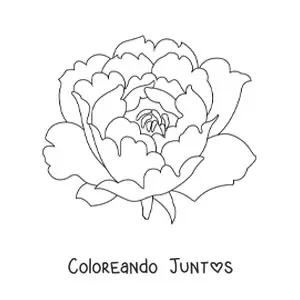 Imagen para colorear de un clavel grande
