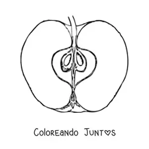 Imagen para colorear de media manzana