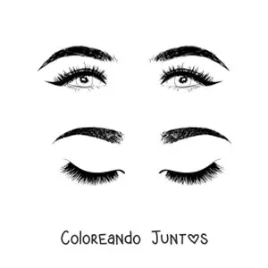 Imagen para colorear de dos pares de ojos y cejas realistas de mujer con hermoso maquillaje