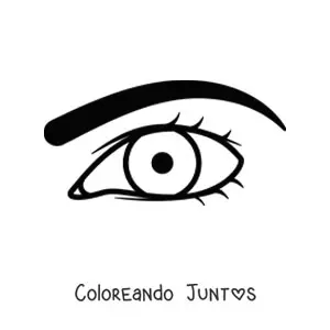 Imagen para colorear de un ojo masculino con ceja