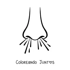 Imagen para colorear de una nariz respirando