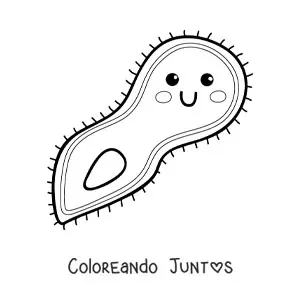 Imagen para colorear de un protozoo kawaii