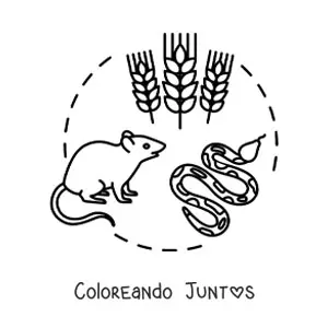 Imagen para colorear de la cadena alimenticia terrestre