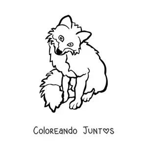 Imagen para colorear de un zorro salvaje sentado de frente con la cabeza inclinada hacia la derecha
