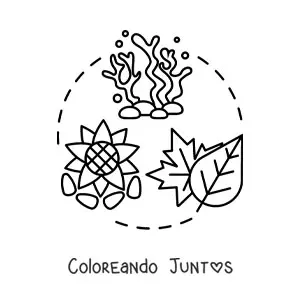 Imagen para colorear del reino plantae
