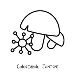Imagen para colorear del reino fungi