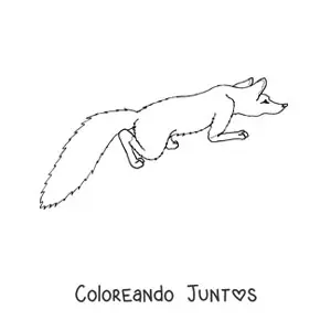 Imagen para colorear de un zorro salvaje agachado desde arriba
