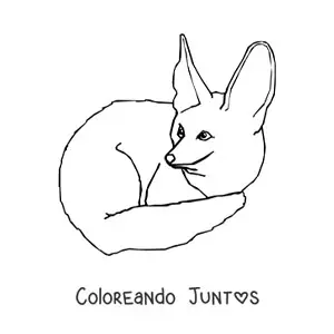 Imagen para colorear de un zorro del desierto agazapado