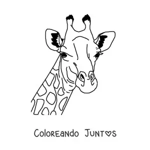 Imagen para colorear de la cara de una jirafa salvaje