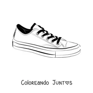Imagen para colorear de un par de tenis bajo de tela