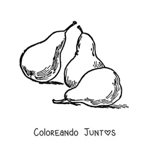Imagen para colorear de tres peras enteras