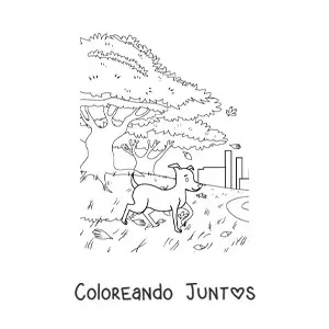 Imagen para colorear de un perro y un paisaje de otoño