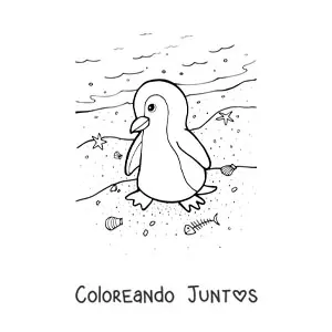 Imagen para colorear de un pingüino en la orilla de la playa