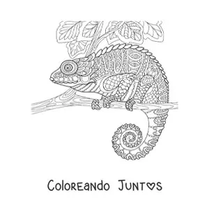 Imagen para colorear de un mandala con diseño de camaleón en selva